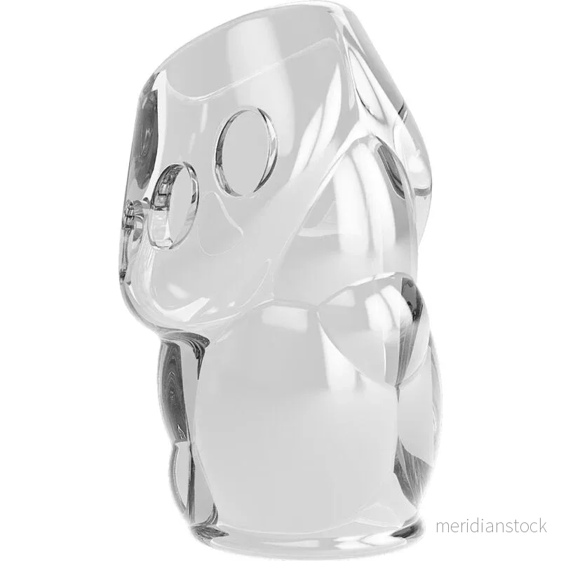PRETTY LOVE - OSCAR TRANSPARENT PENIS THICKER - Bild 2