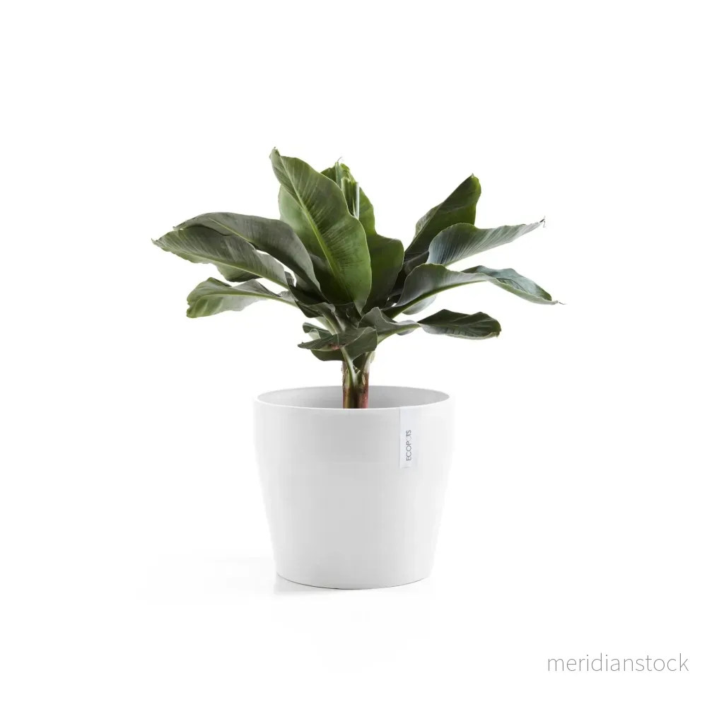 Kruka Sankara 40cm vit