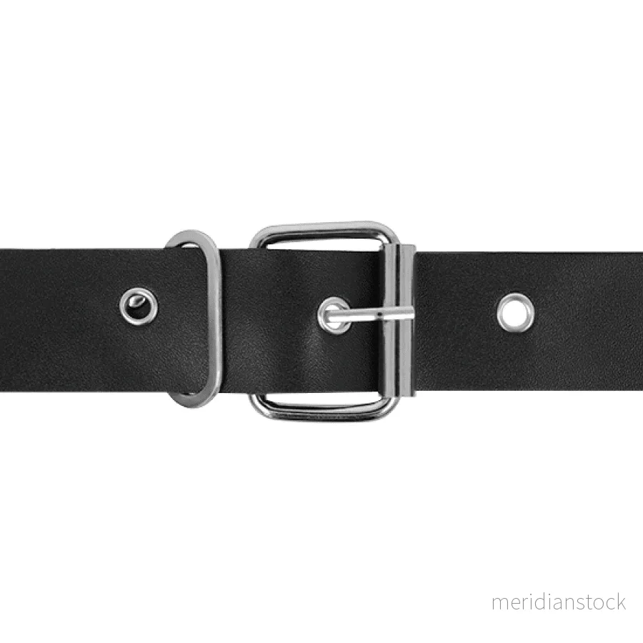 HARNESS ATTRACTION - RNES TAYLOR DELUXE 18 CM -O- 4.5 CM - Bild 2