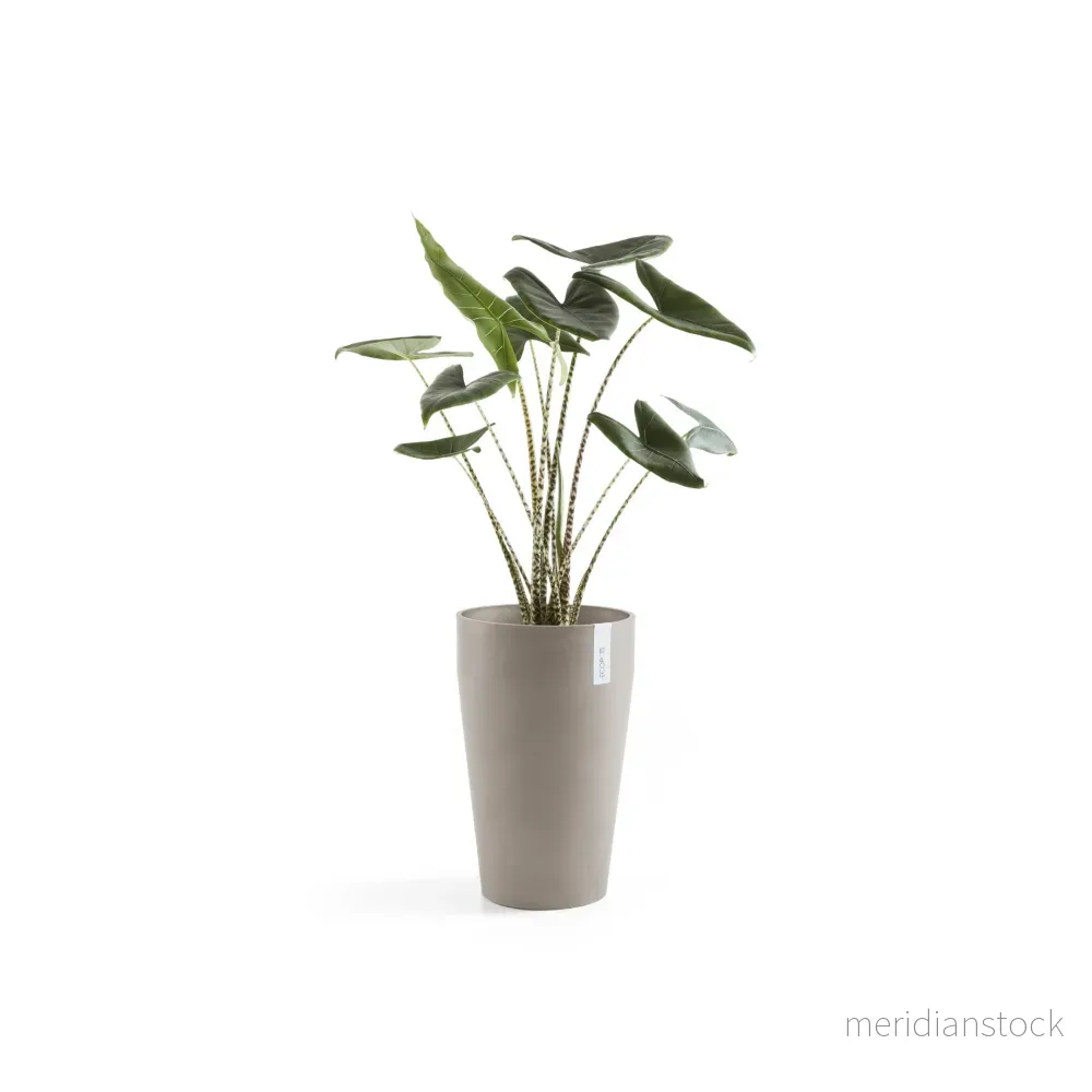 Kruka Sankara medelhög 55cm taupe Kruka Sankara medelhög 55cm taupe