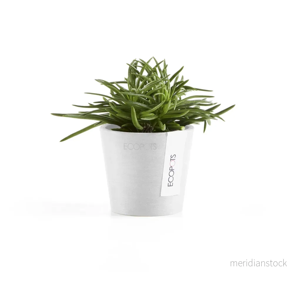 Kruka Amsterdam 8cm vit - Bild 3