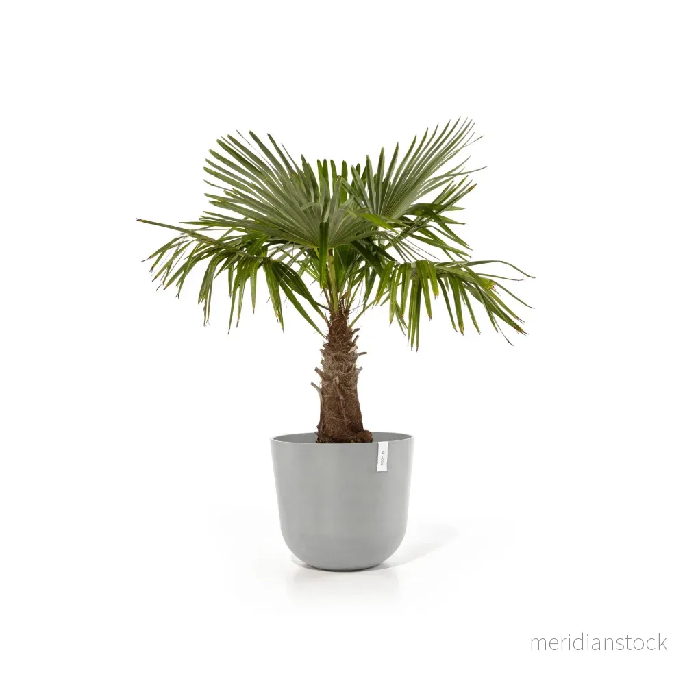 Kruka Oslo 55cm vitgrå