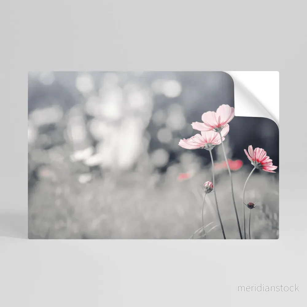 SUBTLE PETAL DANCE Självhäftande Horisontell Poster - Bild 3