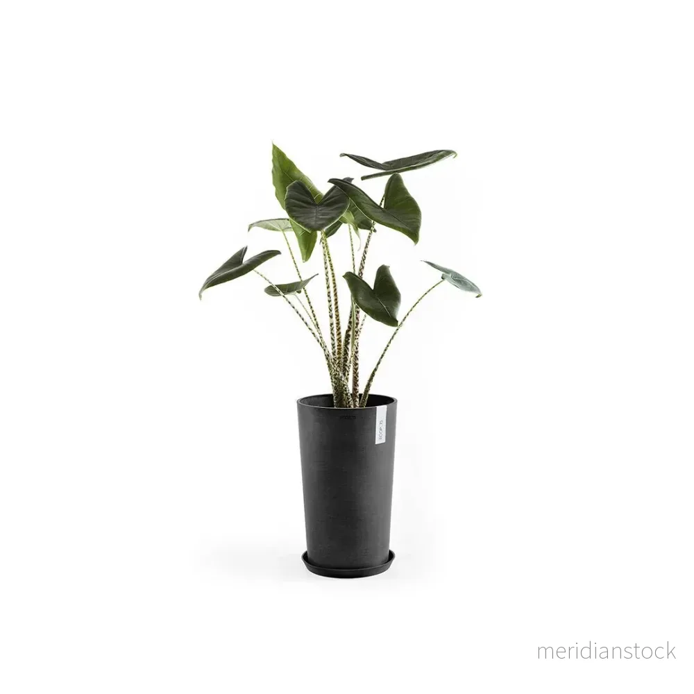 Kruka Amsterdam medelhög 50cm mörkgrå - Bild 3