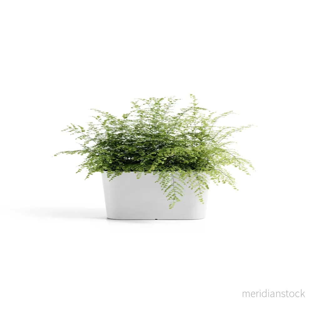 Kruka Tokyo 40cm vit Kruka Tokyo 40cm vit