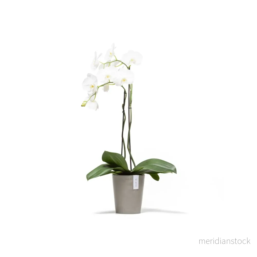 Kruka Morinda 17cm taupe Kruka Morinda 17cm taupe