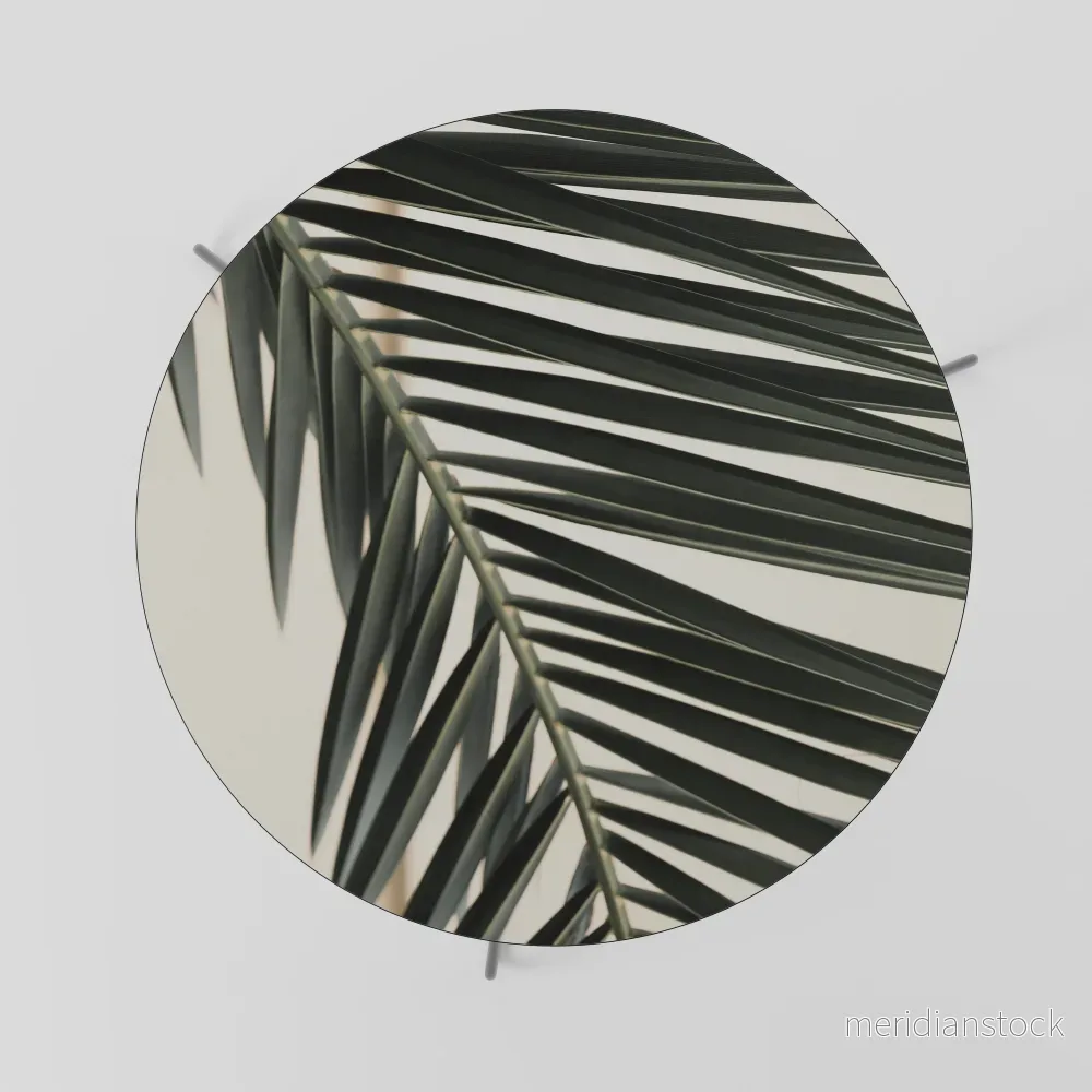 PALM SYMPHONY Soffbord - Bild 2