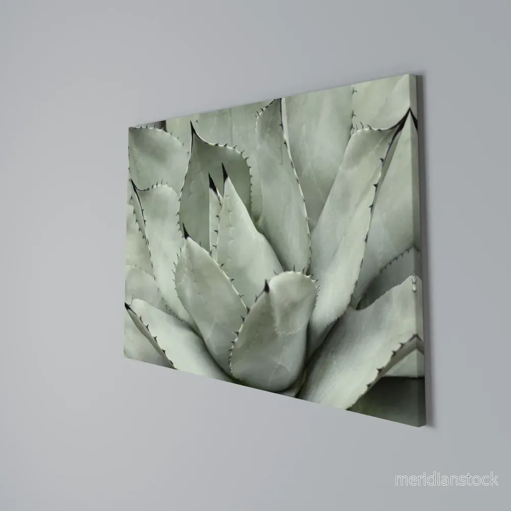 MYSTICAL SUCCULENT DREAM Horizontal Canvas Print - Bild 3