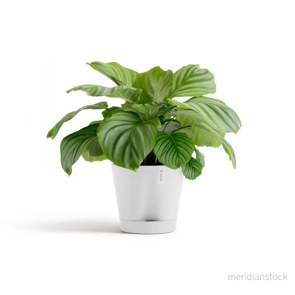 Kruka Venedig 2.0 30cm vit