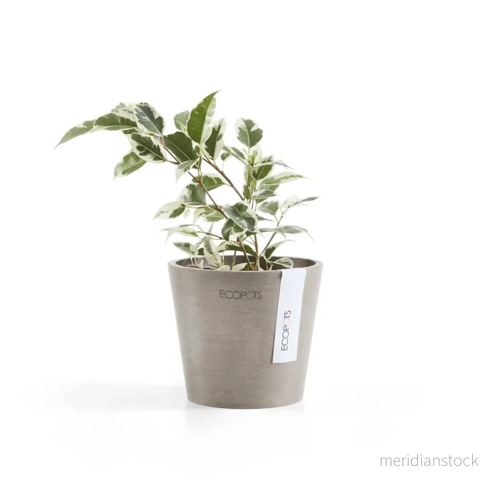 Kruka Amsterdam 10.5cm taupe