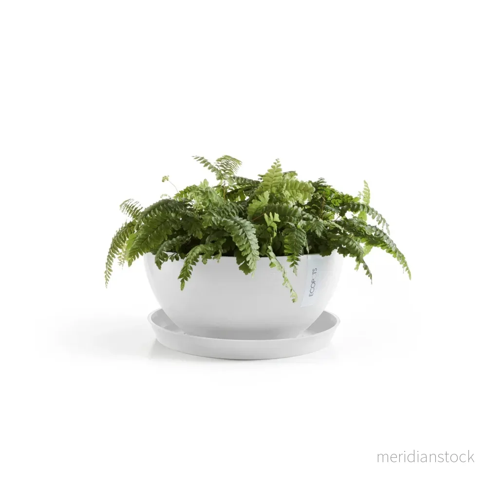 Kruka Bryssel 25cm vit - Bild 3