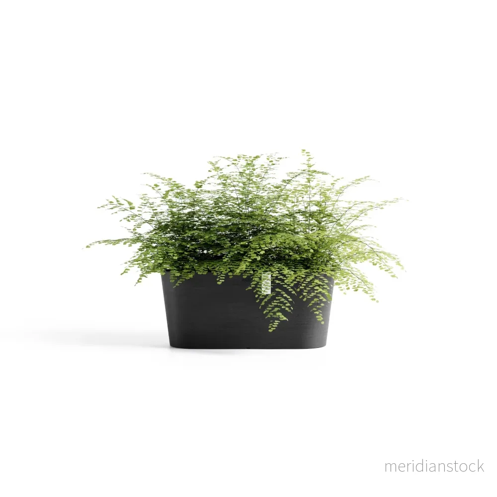 Kruka Tokyo 40cm mörkgrå Kruka Tokyo 40cm mörkgrå